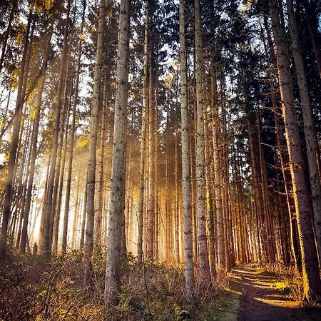 Sunset Bei Warnemünde Apartment