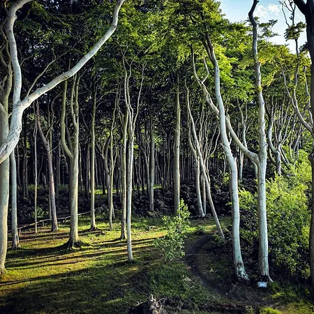 Apartment Sunset Bei Warnemünde