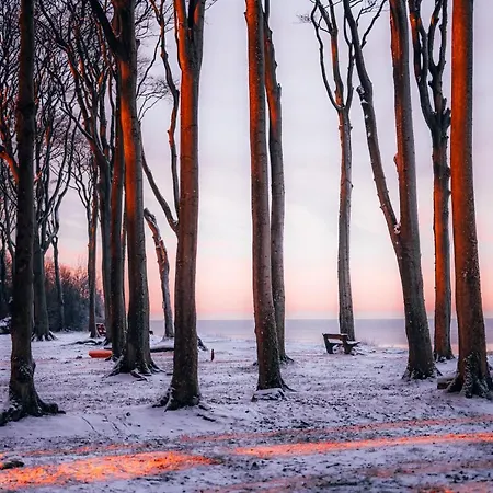 公寓 Sunset Bei Warnemuende 罗斯托克