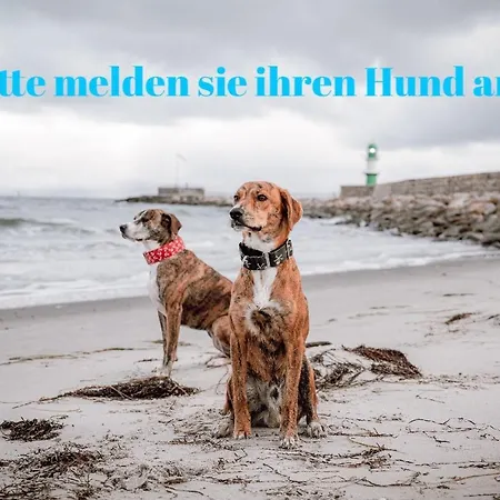 Sunset Bei Warnemuende * רוסטוק