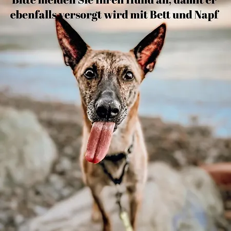 דירה Sunset Bei Warnemuende *